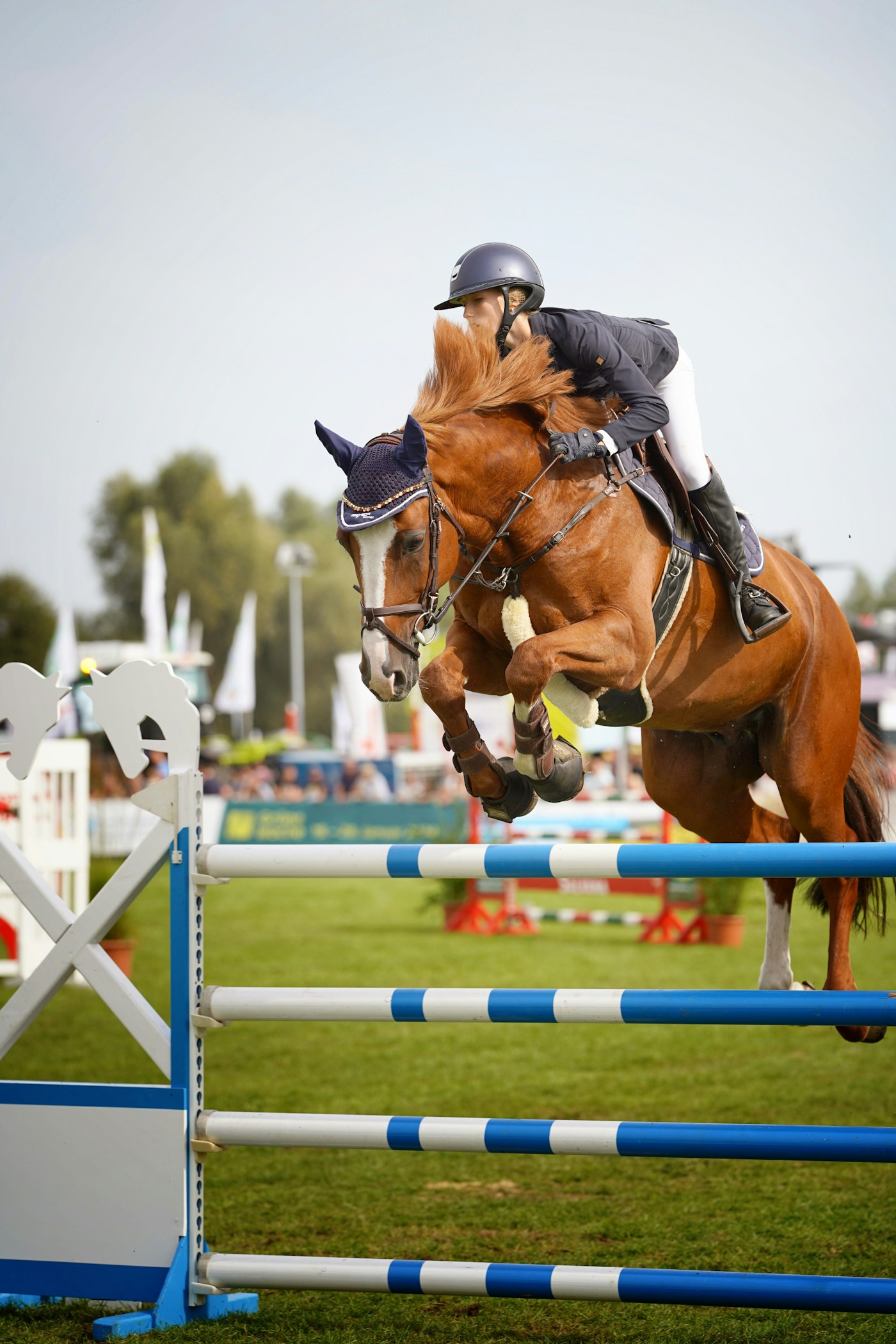 Illustrative equestrian photograph