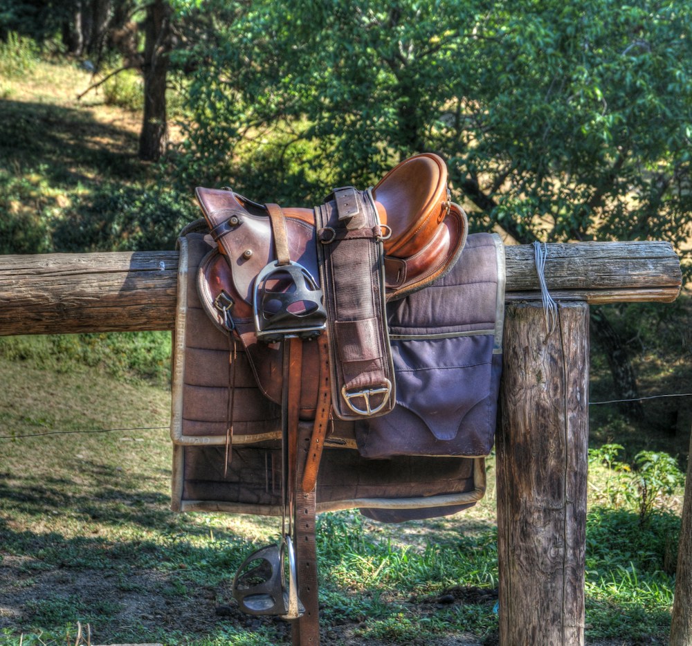 Illustrative equestrian photograph